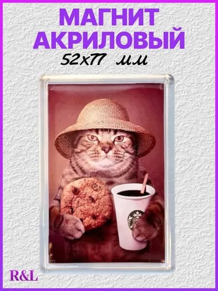 Магнит акриловый на холодильник, 52х77 мм / Магнит "Кот в шляпе"