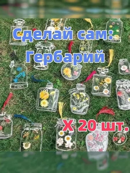 Альбом Гербарий