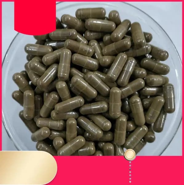 10: 1 экстракт цистанхе омолаживающий 500 мг*100 капсул Organic Cistanche Tubulosa Extract Capsule
