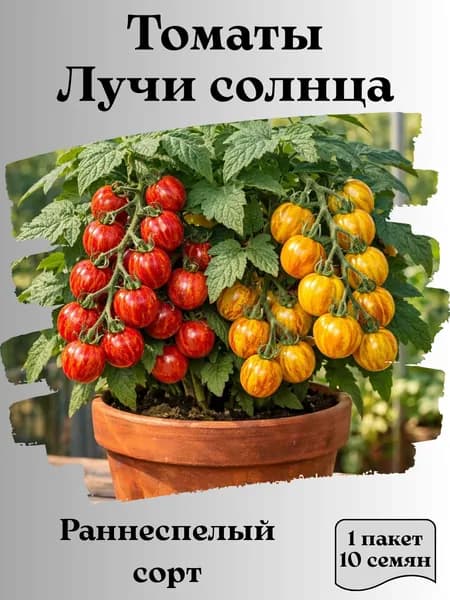 Томаты Лучи солнца, семена, 10 шт.