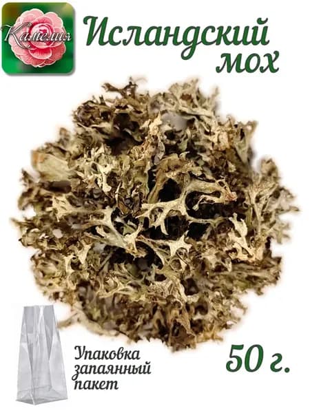 Исландский мох