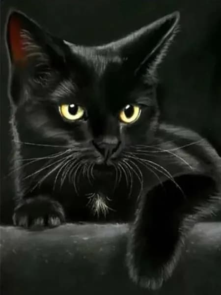 Алмазная картина серия Животные. Кошка круглая алмазная роспись 30x40 см