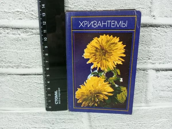 Канцелярия антикварная винтажная Набор из 15 открыток Хризантемы