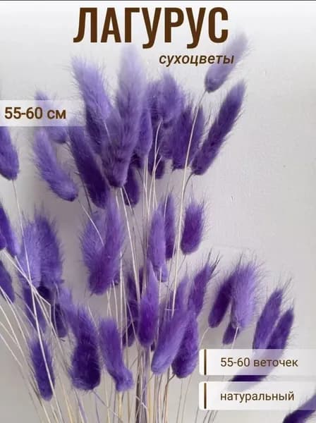 Сухоцветы, 60 см, 40 гр, 55 шт