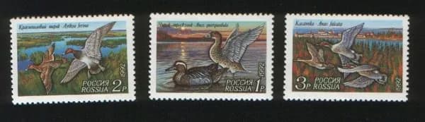 Россия, 1992. (0035-37) Птицы, утки ,