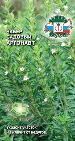 Семена пряности Чабер Аргонавт
