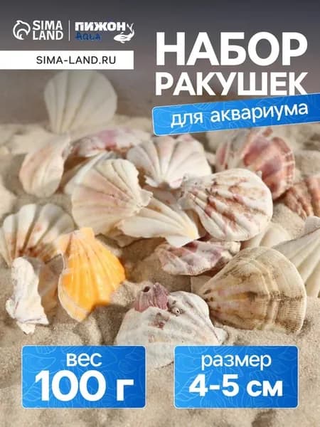 Набор ракушек 4 - 5 см 100 г