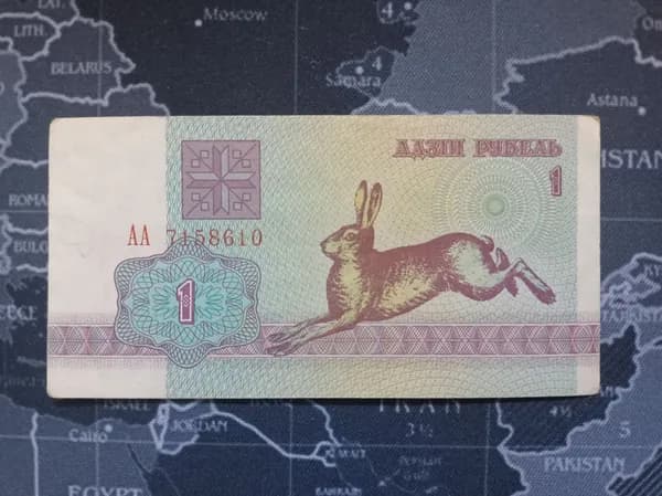 Банкнота Беларусь 1 руб Заяц