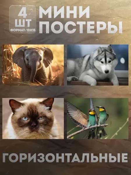 Мини постеры 10 на 15 (набор) «Животные» 4 шт