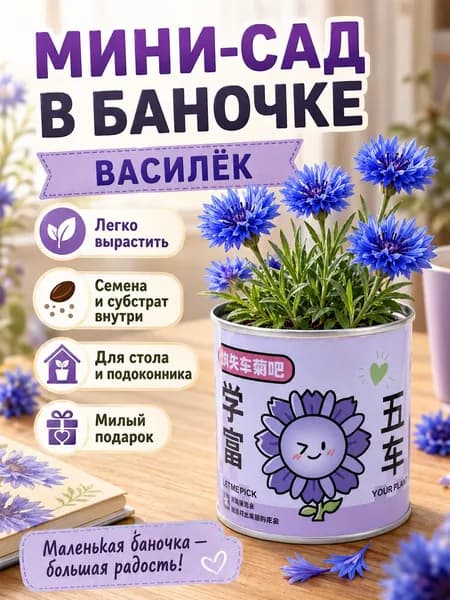 Кассета для рассады