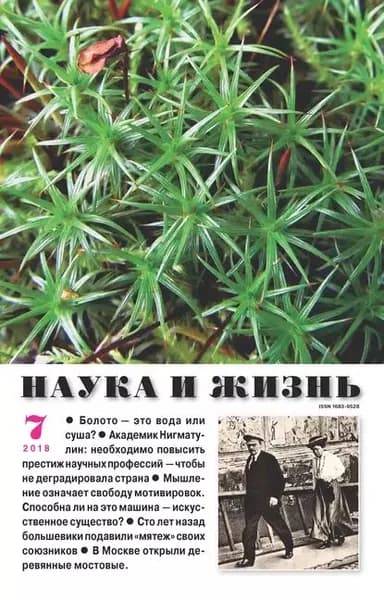 Наука и жизнь No07/2018 | Электронная книга