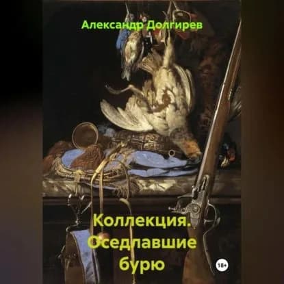 Коллекция. Оседлавшие бурю | Долгирев Александр Сергеевич | Электронная аудиокнига