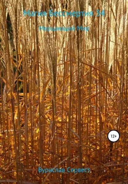 Магия Бессмертия 34. Мерцающий Мир | Сервест Бурислав | Электронная книга