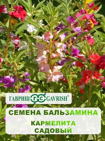 Семена Бальзамина садовый "Кармелита" 0,1 гр.