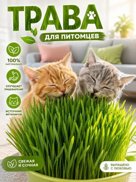 Трава для кошек и других питомцев! Супер комплекс витаминов