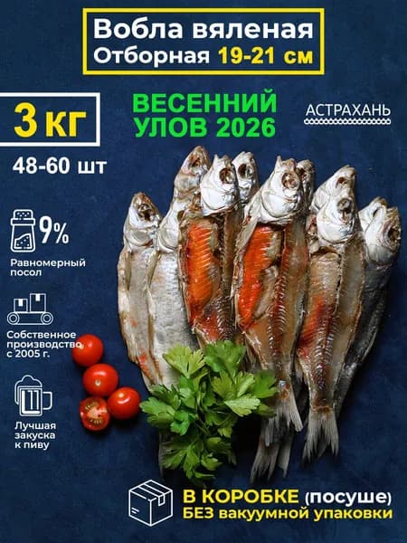 Вобла вяленая крупная с икрой 19-21 см, 3 кг, в коробке без вакуума, набор рыба сушеная целая 3000гр закуска к пиву, деликатесы Дары Каспия