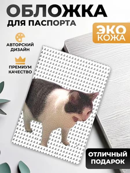 Обложка на паспорт и загранпаспорт Кот кричит АААА