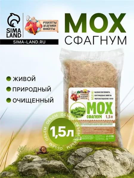 Живой мох сфагнум