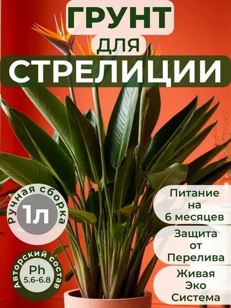 Готовый авторский грунт для Стрелиции,премиум 1 литр