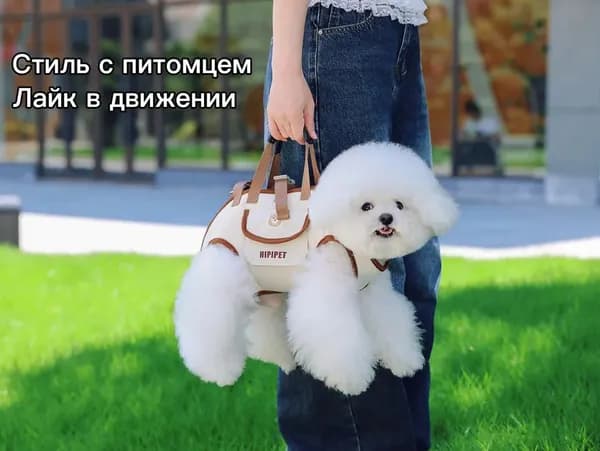 Переноска для собак мелких пород, стильная дышащая, 3 в 1 (ручка, ремень, поводок)