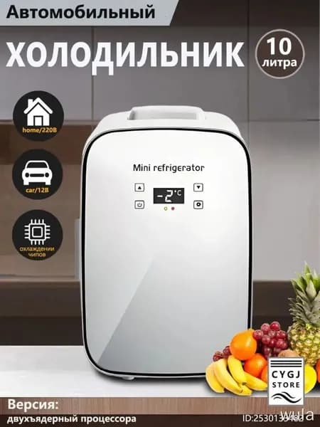 Портативный двухъядерный холодильник емкостью 10 литров, подходящий для хранения напитков, косметики и лекарств