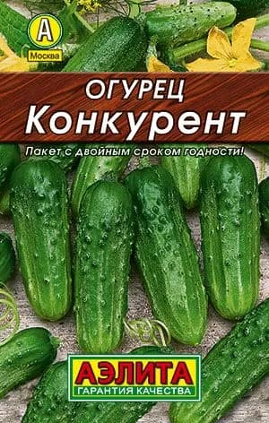 Огурец Конкурент, 20 шт. семян. Для засолки и консервирования.