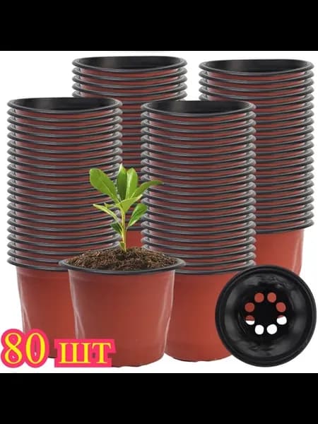 Кассета для рассады, 80 шт, пластик, 10×8 см