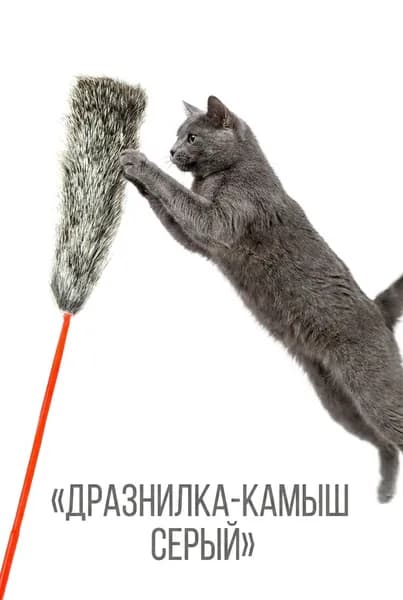 GLG Игрушка - дразнилка для кошек "Камыш". Серый.