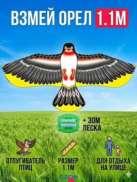 Воздушный змей-орел с леской