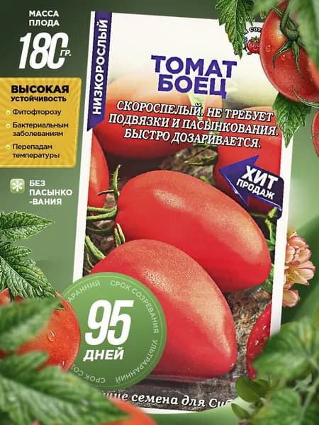 томат боец семена