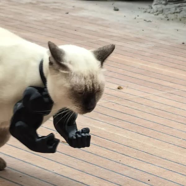 3D-печать кота с мускулистыми руками на шею черного цвета