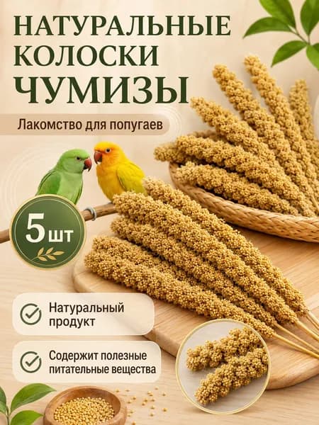 Чумиза для попугаев 5 шт. сенегальское просо лакомство игрушка для птиц и грызунов , урожай 2025 года - КОПОШИЛКА бренд от производителя