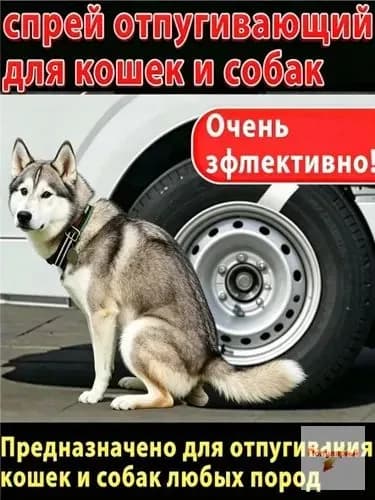 Чтобы собака не гадила и не грызла: спрей А-ТАК. Отпугиватель для собак от меток, порчи мебели, обоев, обуви. Эффективно!