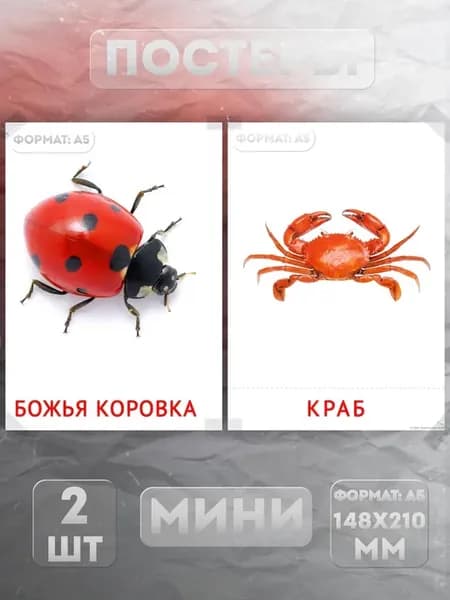 Постеры Мини на стену А5 «Развивающие. Для детей» 2 шт