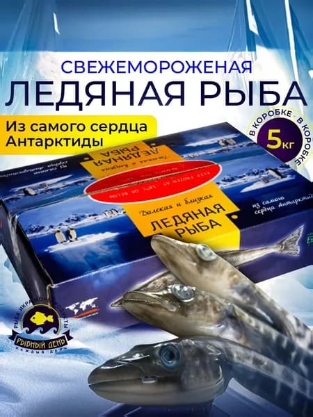 Ледяная рыба свежемороженая, 1 коробка 5 кг.