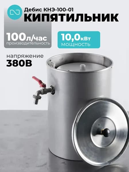 Кипятильник Дебис КНЭ-100-01 нерж