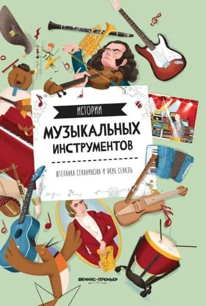 Истории музыкальных инструментов | Секанинова Штепанка | Электронная книга
