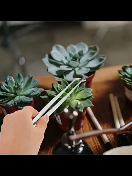 Серебристые садовые пинцеты из стали набор 4 предмета
