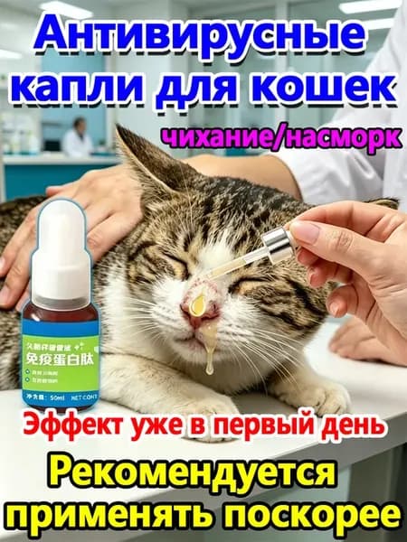 противовирусное лекарство для кошек