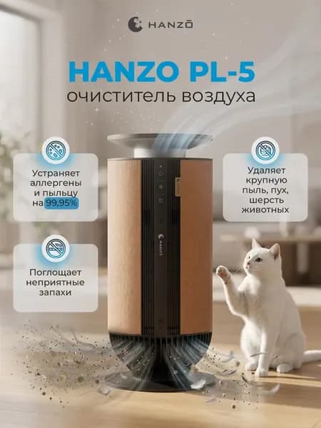 Очиститель воздуха PL-5 с 6 ступенями фильтрации