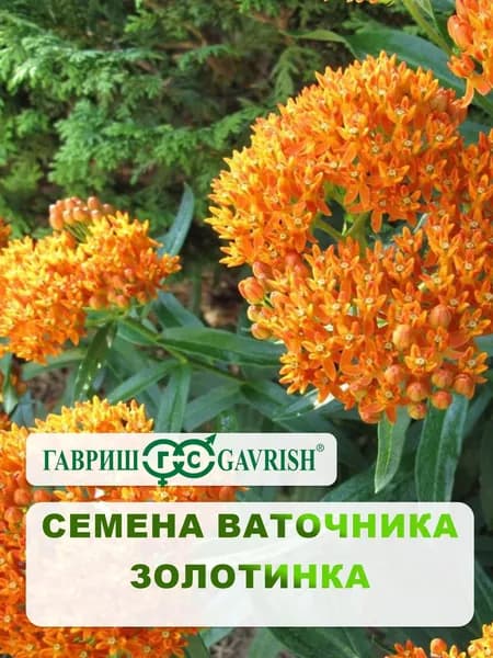 Семена Ваточника клубневой "Золотинка" 0,03 гр.