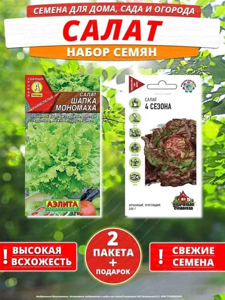Семена салат для дома сада посадки