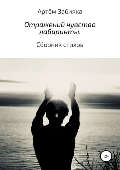 Отражений чувства лабиринты. Сборник стихов | Забияка Артём Владимирович | Электронная книга