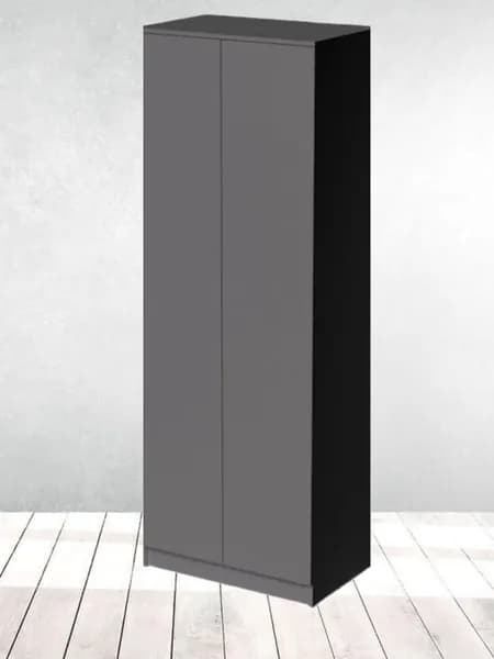 Шкаф распашной 2-х створчатый ЛДСП Eva/Ева 11 602х2000х380, графит