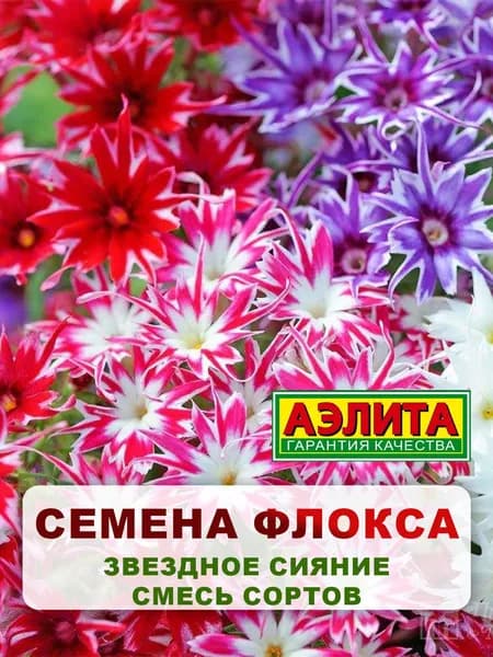 Семена Флокс друммонда "Звездное сияние" смесь 0,1 гр, однолетние цветы для дачи, сада и огорода, клумбы, в открытый грунт, на балкон, в ящик.
