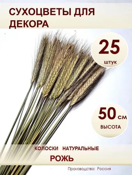 Колоски 25 шт РОЖЬ. Сухоцветы для декора 50 см.