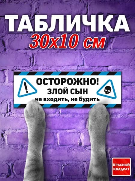 Табличка на дверь прикольная, "Осторожно! Злой сын не входить не будить", 30х10 см