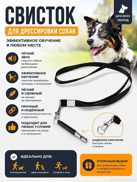 Металлический УЛЬТРАЗВУКОВОЙ бесшумный свисток для дрессировки собак со шнурком