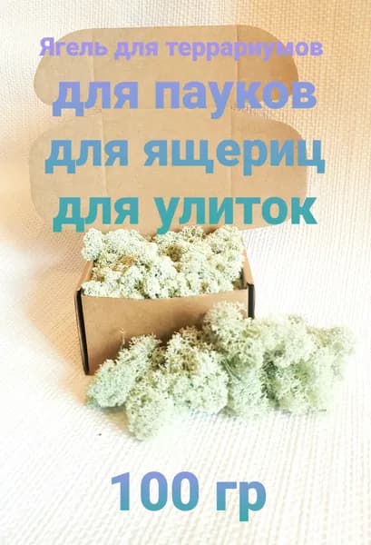 Ягель натуральный для Улиток для террариумов