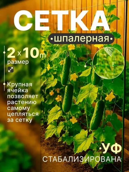 Шпалерная сетка для огурцов 2х10 м